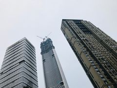 -武汉绿地中心