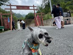 -陕西省红河谷森林公园