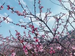 -炎帝陵景区