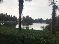 -云南民族村