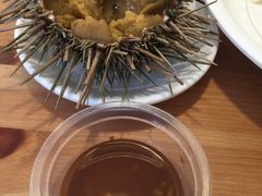 生海胆-海胆小馆(东北水饺·春柳店)