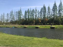 -前小桔亲子创意农场·草莓采摘·露营烧烤