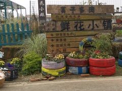 -空港花田景区