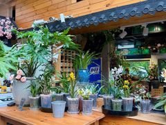 -谷咖啡·鲜花绿植花园餐厅