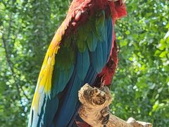 -北京野生动物园