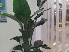 -LANN I 蘭 SPA(陆家嘴中心店)