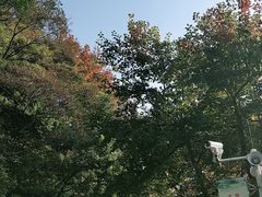 -广州市石门国家森林公园