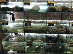 水产区-覃记海鲜美食餐厅