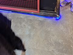 -BlueGame深蓝密室逃脱真人NPC(京投港·长阳店)