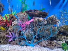 -成都浩海立方海洋公园