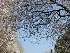 -吉林大学(南岭校区)