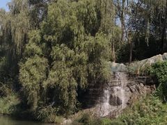 -东方巨龟苑景区