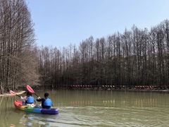 -上海海湾国家森林公园