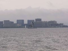 -春花秋色城市公园