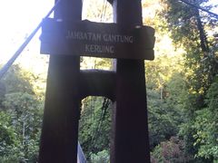 -乌鲁淡布隆国家公园