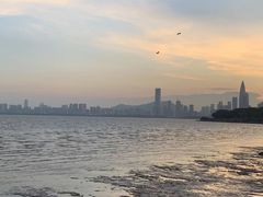 -深圳湾公园(南山区)