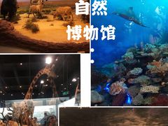 -浙江自然博物院(杭州馆)