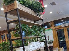 -大清花饺子(山庄店)