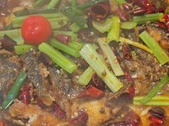 -老板恋上鱼(恒隆广场店)