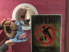 -东京塔海贼王主题公园