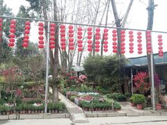 -金科花卉市场