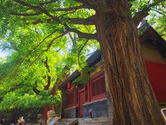 -晋祠博物馆