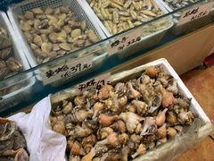 大海螺-胶东海鲜大排档(北太平庄店)