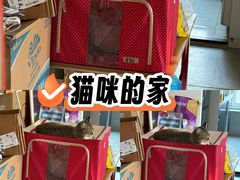 -美联众合动物医院·24h转诊中心