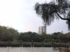 -人民公园(罗湖区)