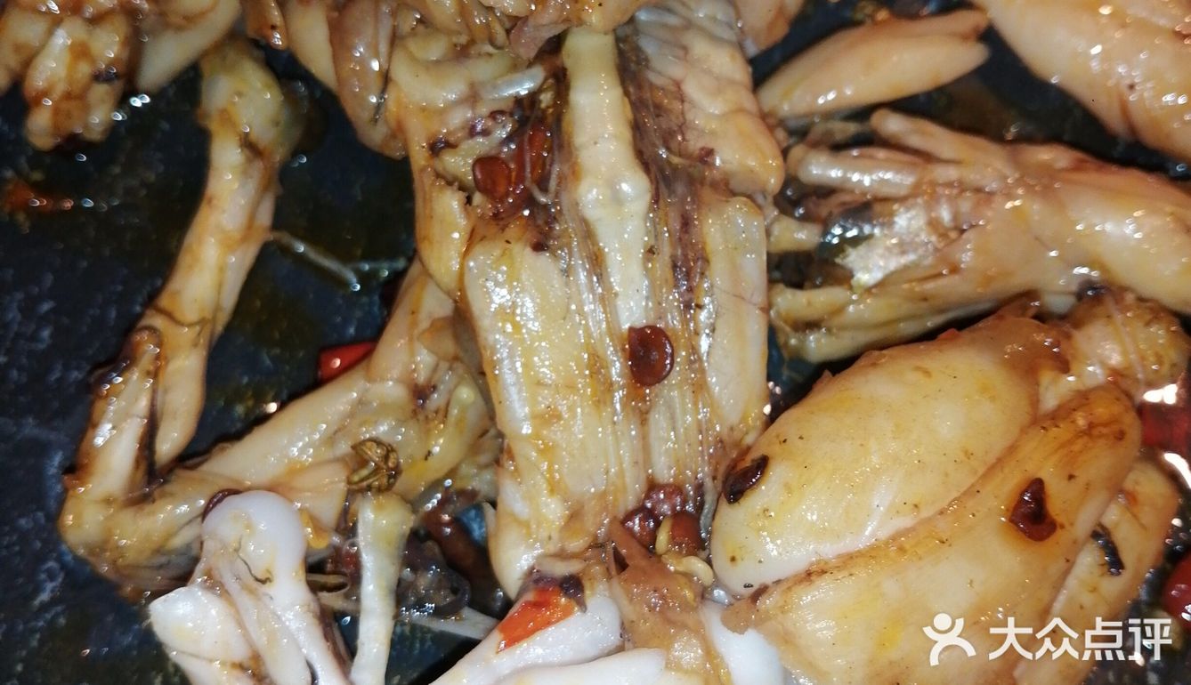 开源齐庆美蛙