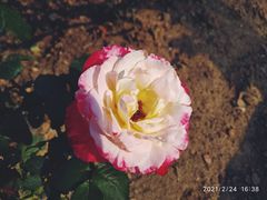 -文华公园(禅城区)