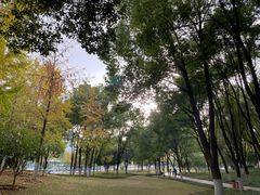 -后襄河公园