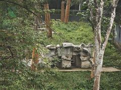 -中国大熊猫保护研究中心雅安碧峰峡基地