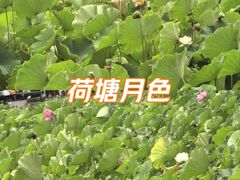 -四川大学(望江校区)