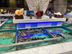 -初色海鲜自助(新辰里亚运村店)