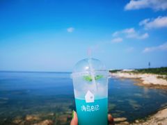-海岛日记(养马岛店)