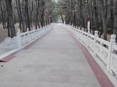 -林海公园