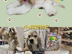 -FAELING PETS美天灵宠物(富力广场店)