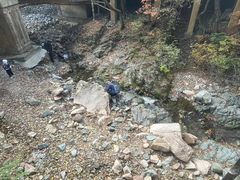 -本溪汤沟绿石谷森林公园