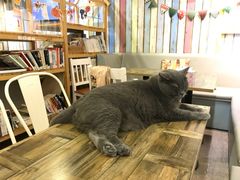 -小时光咖啡馆(开森度假森林店)