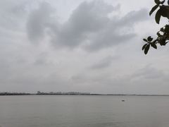 -瑶湖郊野森林公园