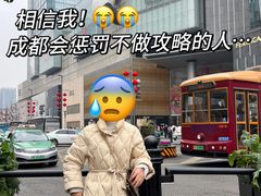 -大龙燚火锅(太古里店)