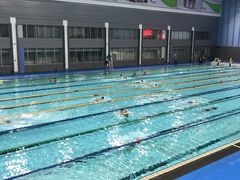 -奥林匹克体育中心游泳跳水中心