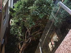 -双拼市场·烧烤精酿啤酒