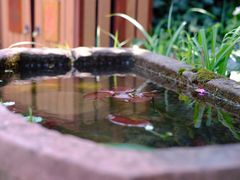 -天目湖御水温泉·度假酒店