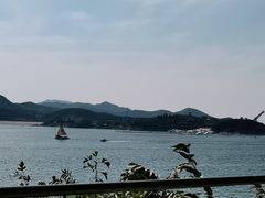 -望湖烤鱼