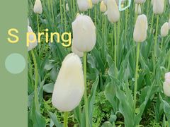 -陕西省西安植物园