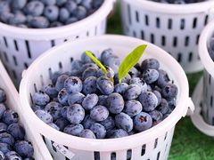 -南坛综合农贸市场