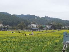 -红山村