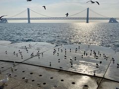 -星海广场